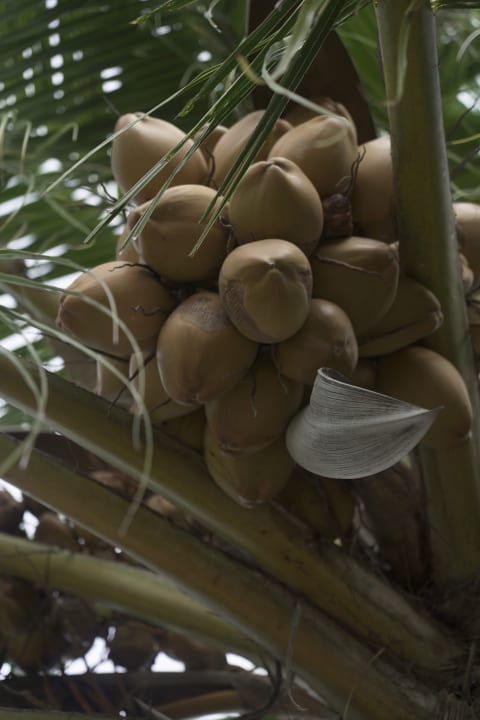 Außenansicht Adaaran Select Meedhupparu Island Resort - Premium All Inclusive