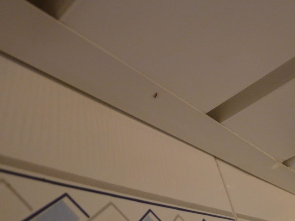 Wassereinbruch im Bad VIVA Eden Lago