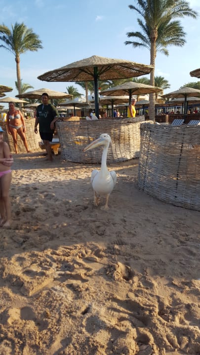 Strand Golden Beach Resort