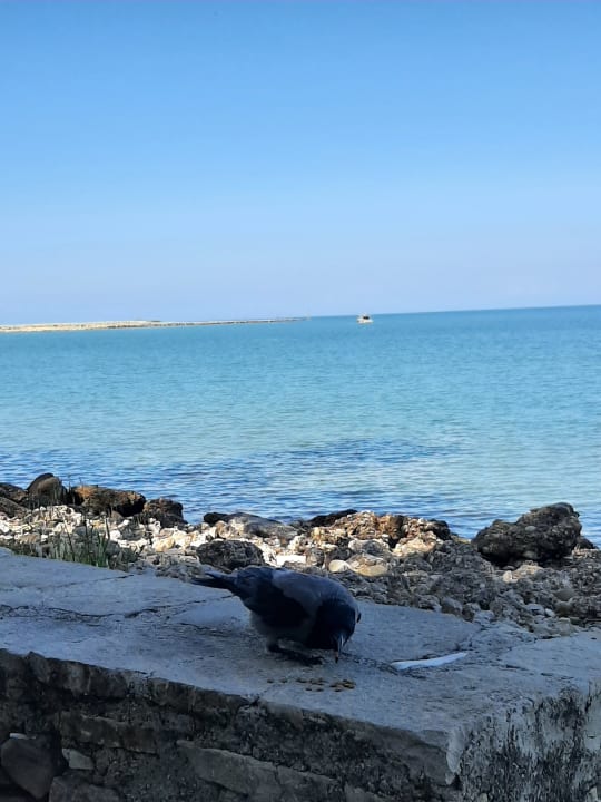 Strand Can Garden Beach