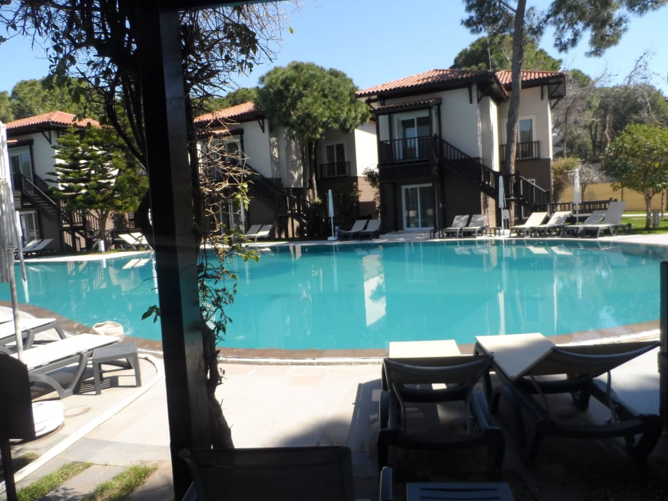 Basen Papillon Ayscha