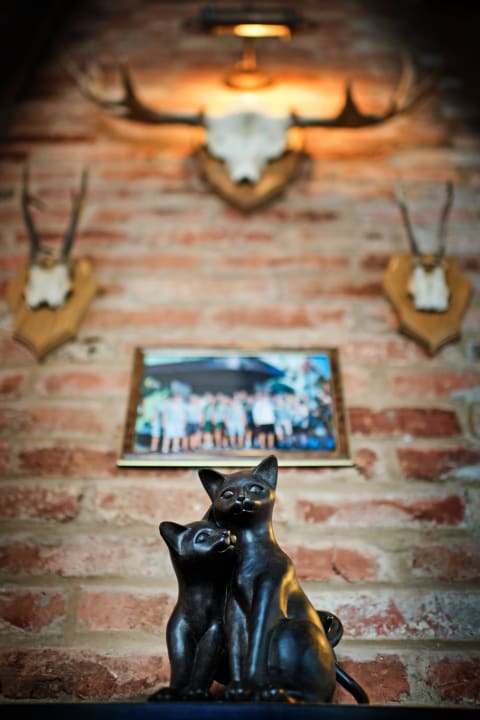 Fat Cat Bar Hotel Reja, a Member of Design Hotels