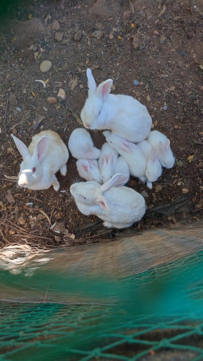 Gartenanlage Labranda Alantur Resort