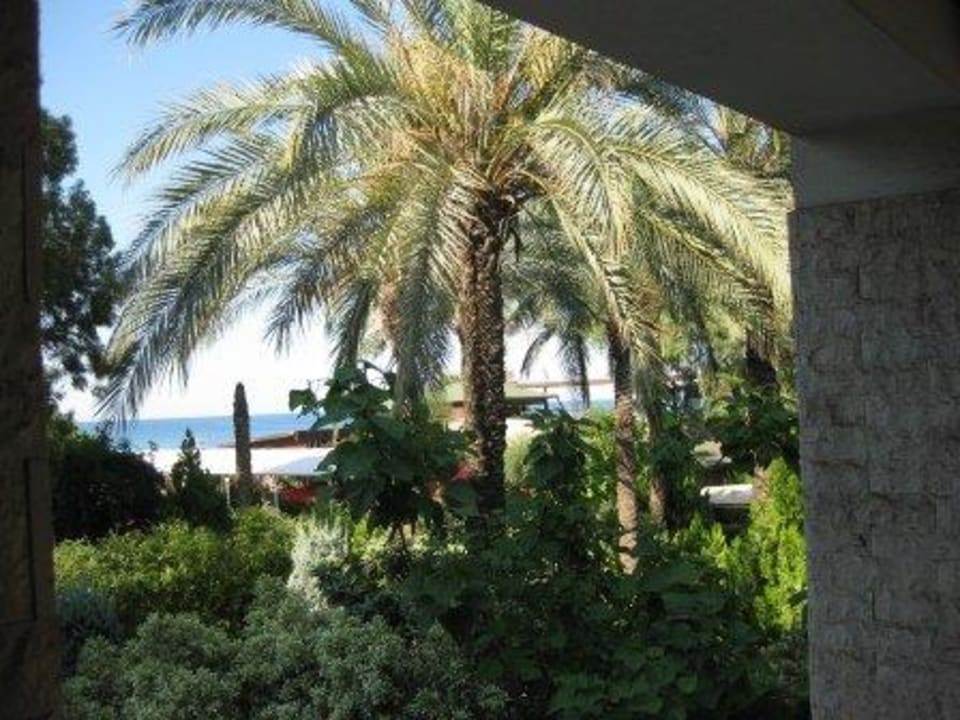 Главный корпус Armas Gül Beach