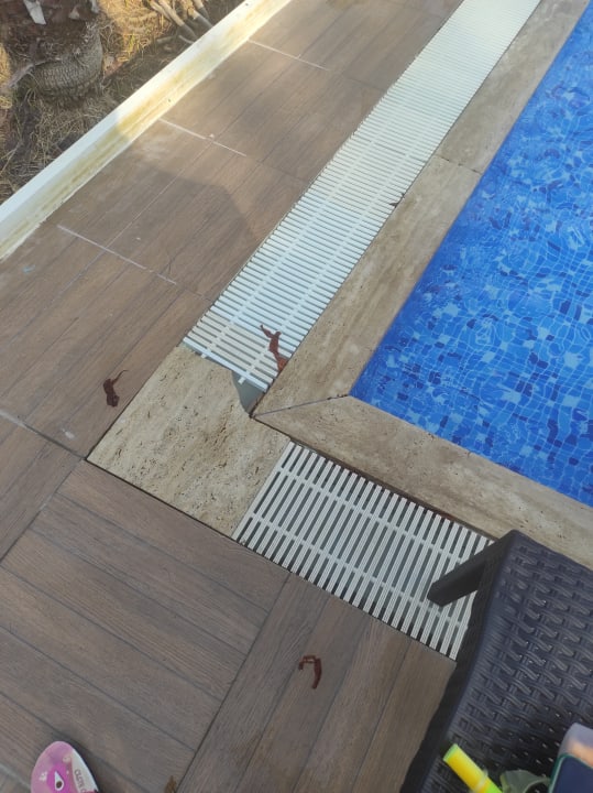 Pool Green Paradise Beach Hotel