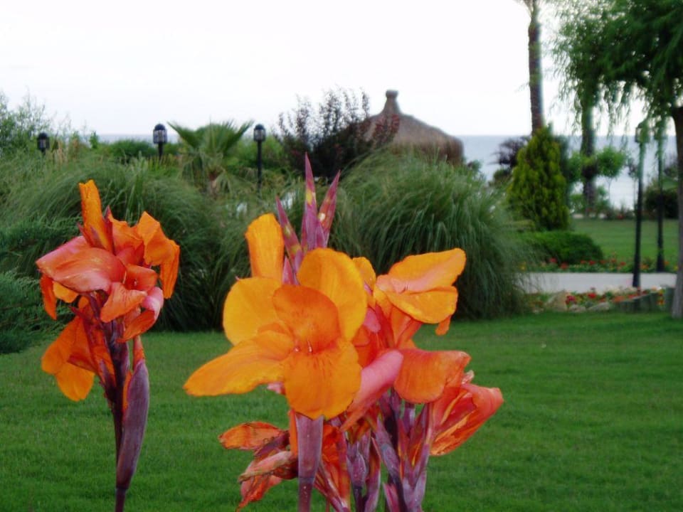 Aspendos Beach Trendy Aspendos Beach Hotel