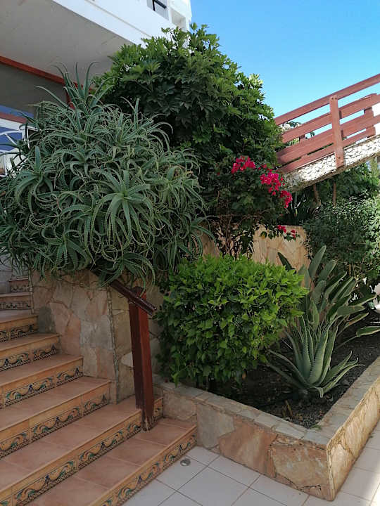 Gartenanlage Marina Playa Suite Hotel