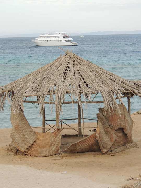 Am Strand neben dem Hotel SUNRISE Holidays Resort (Adults Only)