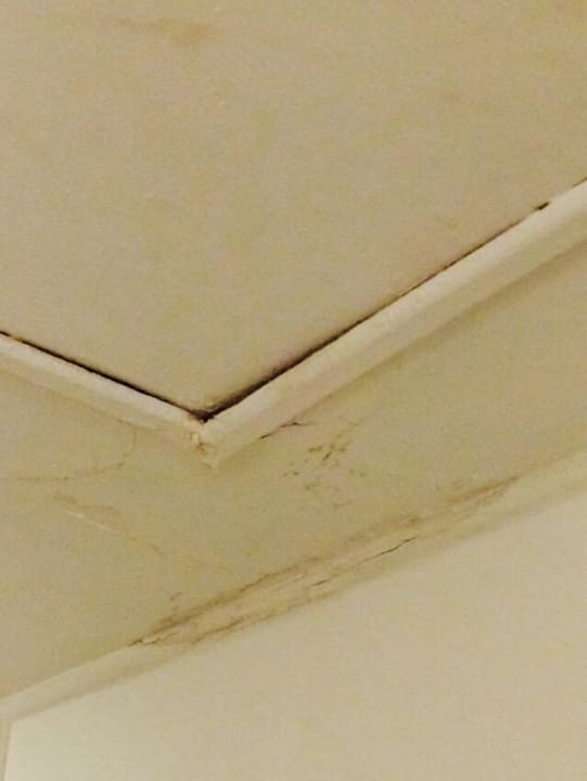 Deckendurchbruch Desert Rose