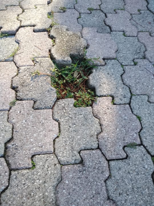 Pool Hotel Marco Polo