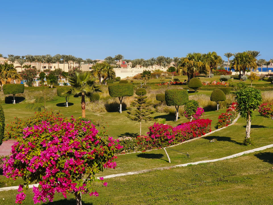 Ausblick Cleopatra Luxury Resort Makadi Bay