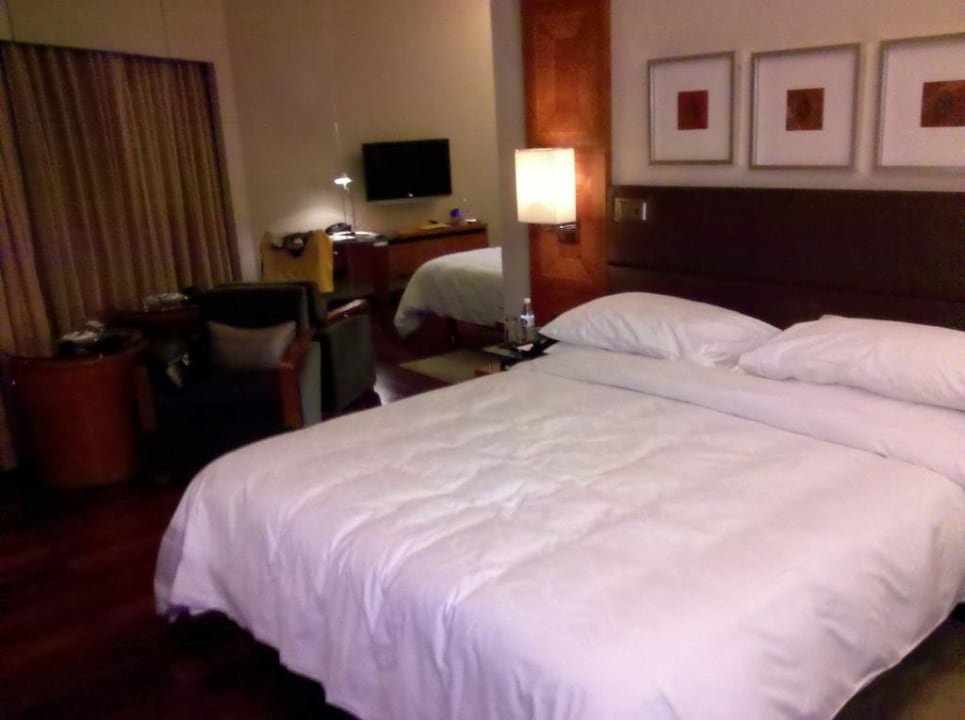 Einzelzimmer mit Doppelbett Hotel Hyatt Regency Delhi