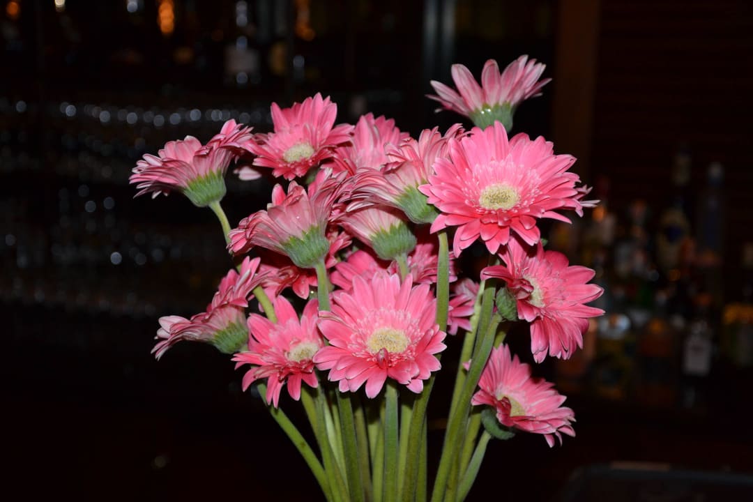 Nett gestaltet Hotel The Peninsula Bangkok