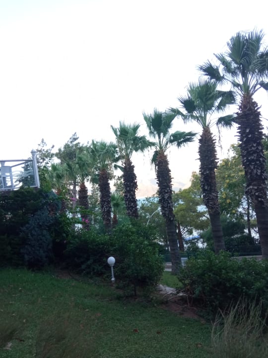 Zimmer Labranda Mares Marmaris