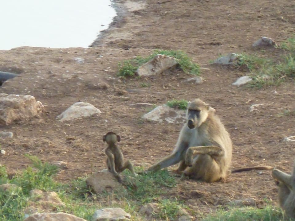 Sonstiges Taita Hills Safari Resort & Spa