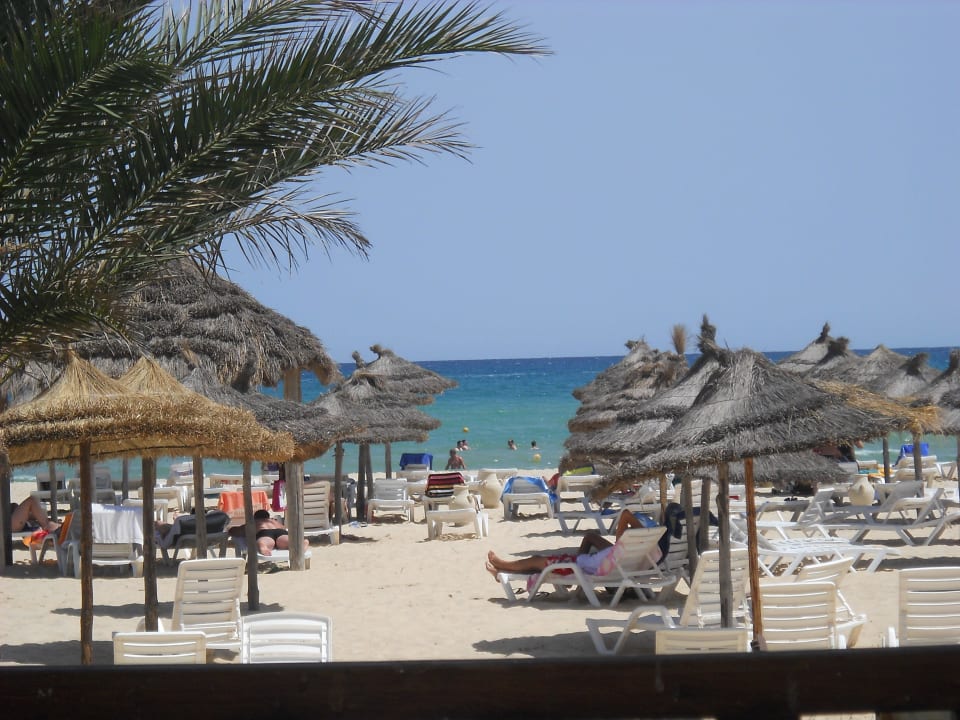 Всегда свободно The Club Hammamet