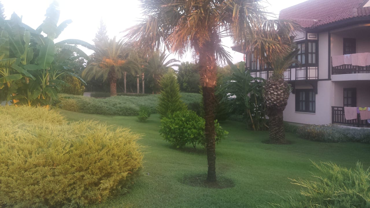 Schöne gepflegte Anlage Sunrise Resort Hotel