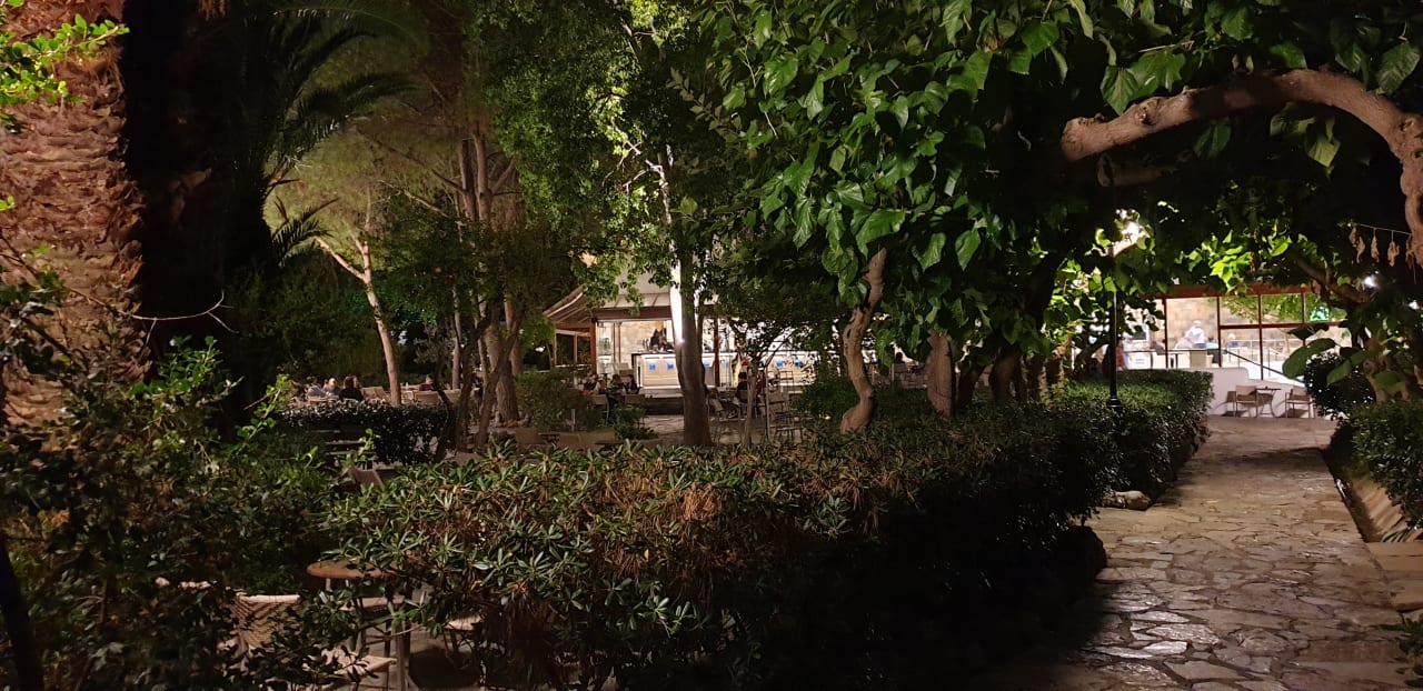 Gartenanlage Apollonia Beach Resort & Spa
