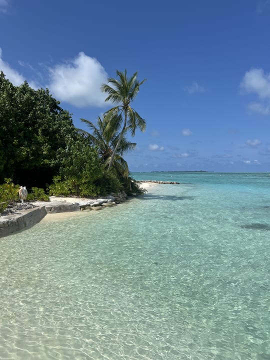 Strand Cinnamon Hakuraa Huraa Maldives