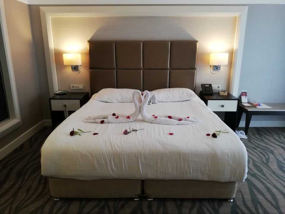 Zimmer TUI MAGIC LIFE Beldibi +16