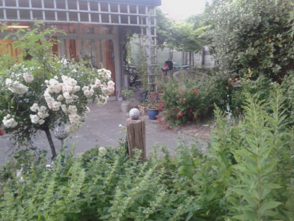 Gartenanlage Hotel Pension Pieter de Coninck