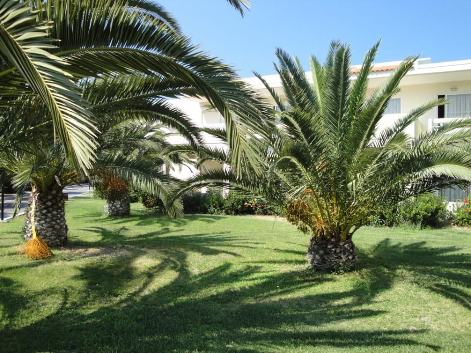 Roślinność Kipriotis Village Resort