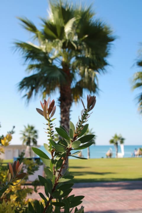 Außenansicht Güral Premier Belek