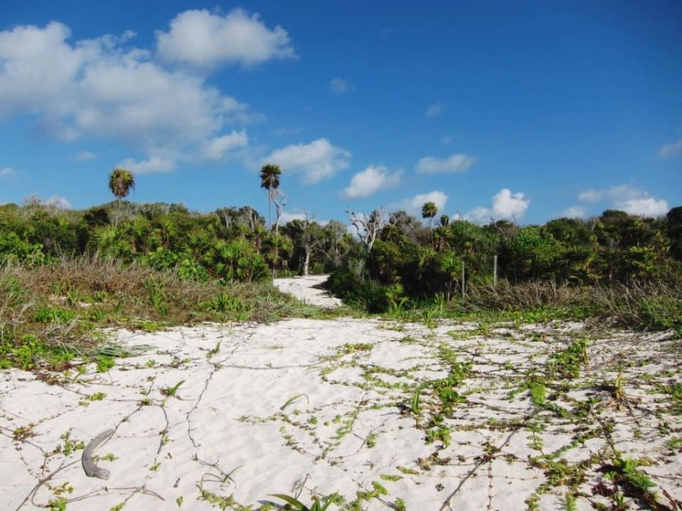 Naturstrand nahe des Hotels Sandos Playacar Select Club Adults only - All Inclusive