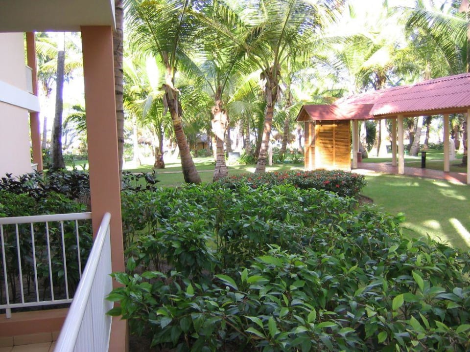 seitlicher Blick Richtung Meer Hotel Grand Palladium Palace Resort, Spa & Casino