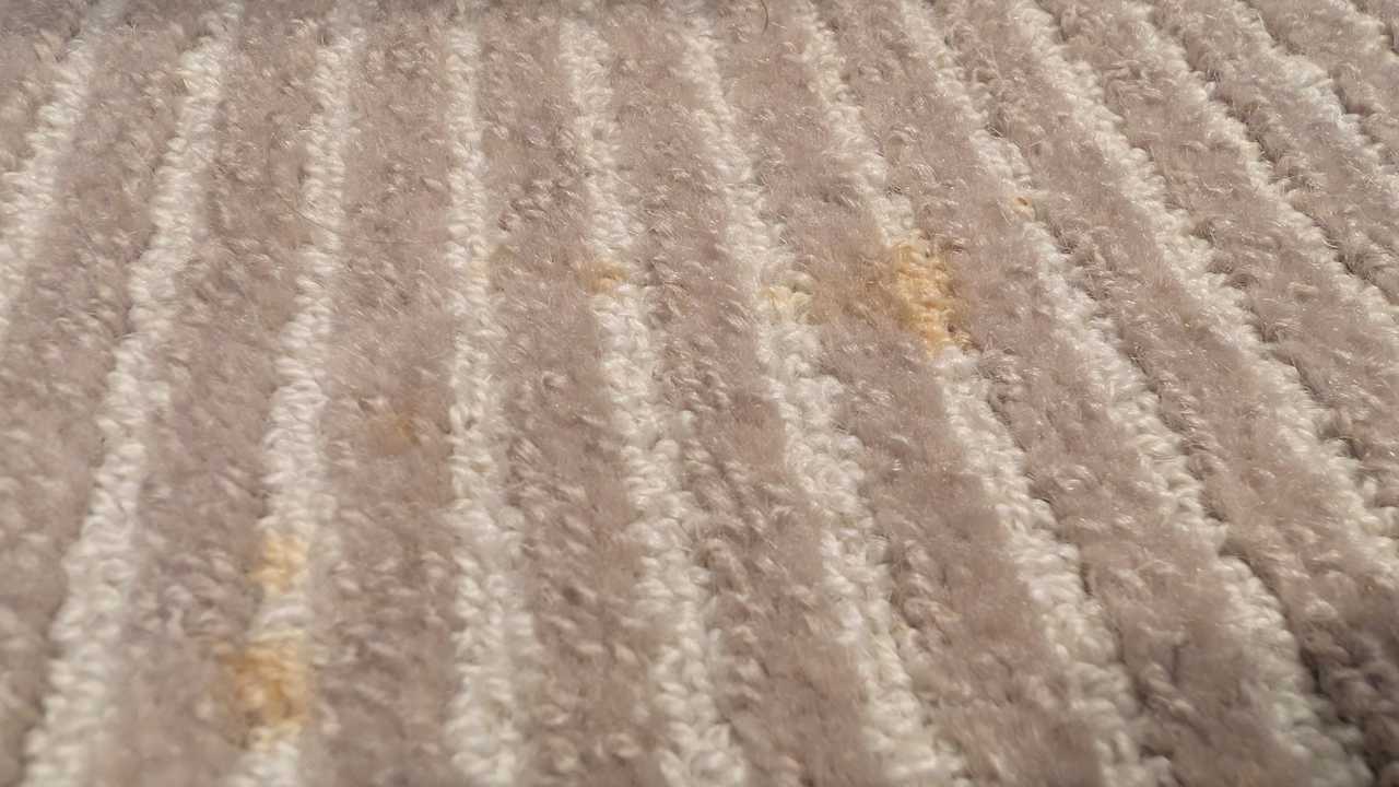 Zimmer Grand Hyatt Dubai