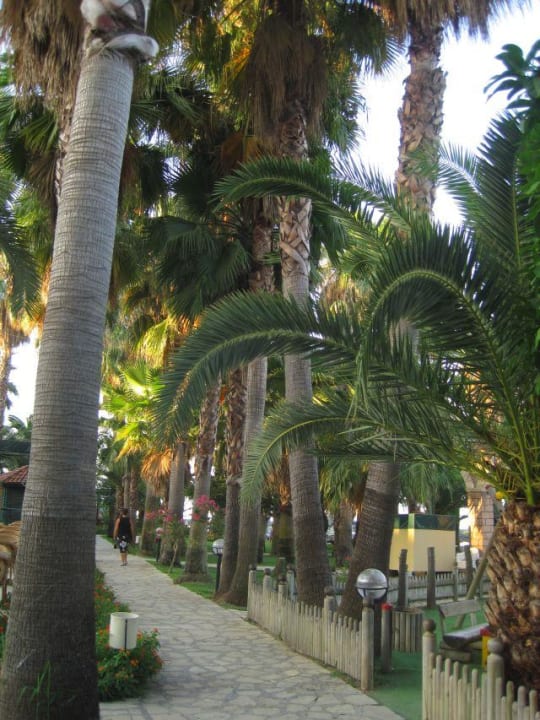 Weg zum Strand Hotel Meryan