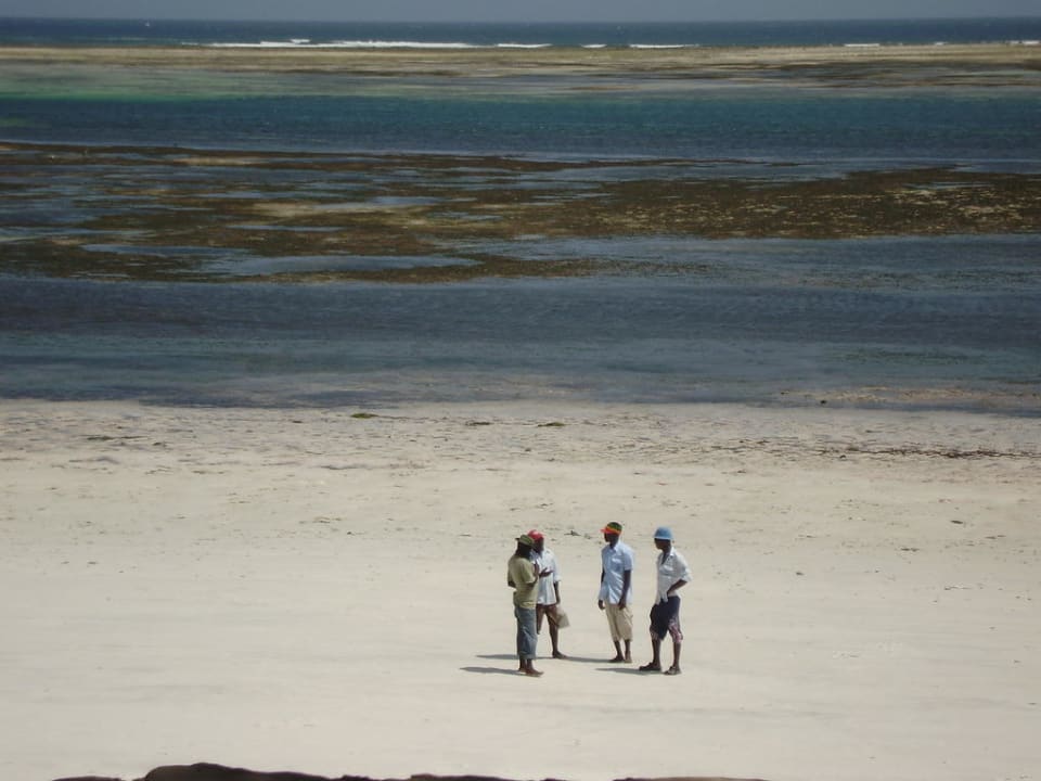 Meer bei Ebbe Reef Hotel Mombasa