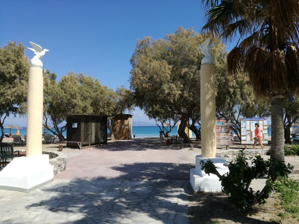 Gartenanlage Atlantis Hotel