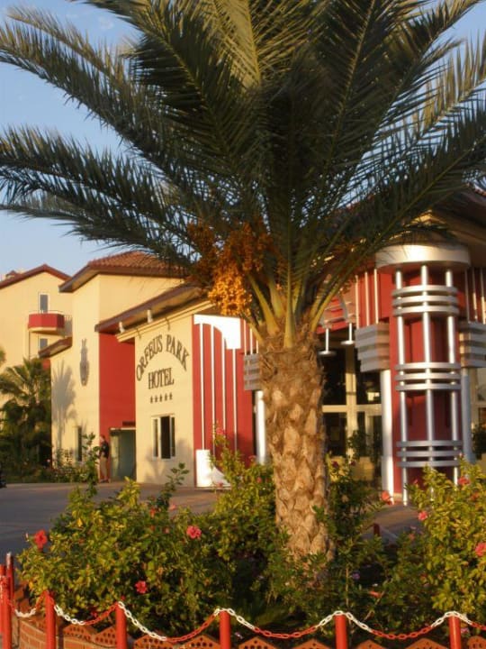Hoteleingang Hotel Orfeus Park