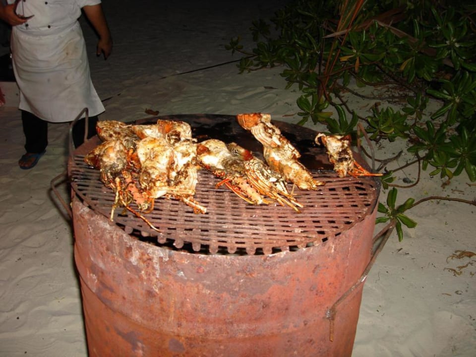 Büffet am Stand Eri Maldives