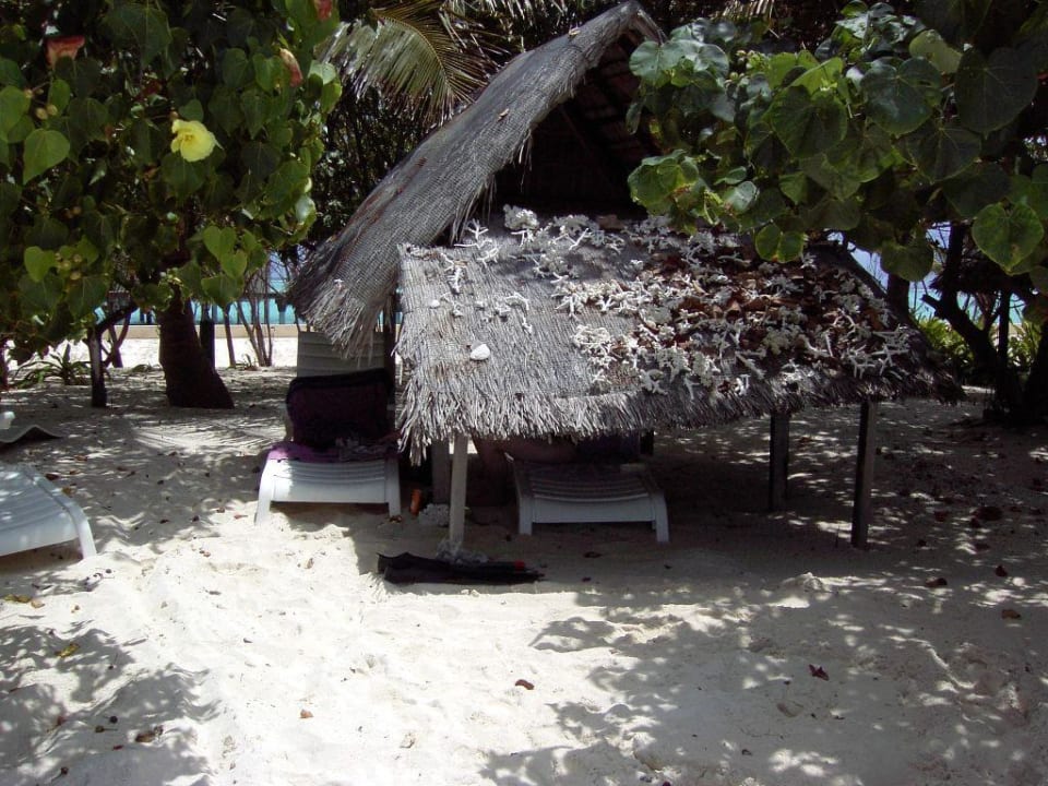 Res. Strandabschnitt Wasserbungi Zimmer 103 Summer Island Maldives