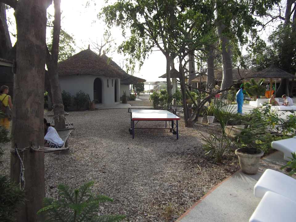 Poolbereich mit Liegen und Hängematten Hotel Les Palétuviers