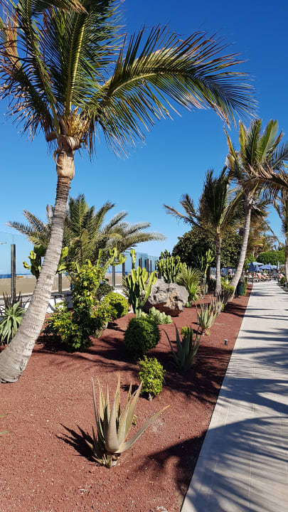 Gartenanlage Hotel Las Costas