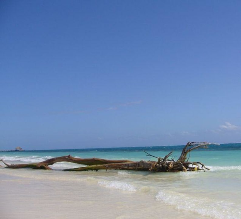 Strand Desire Riviera Maya Pearl Resort - Adults only