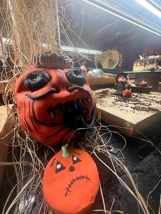 Gastro Seashell Vega