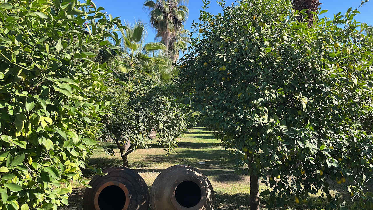 Gartenanlage Paloma Oceana