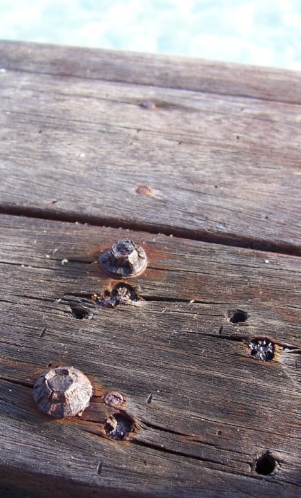 Hervorstehende rostige Schrauben Sun Siyam Olhuveli