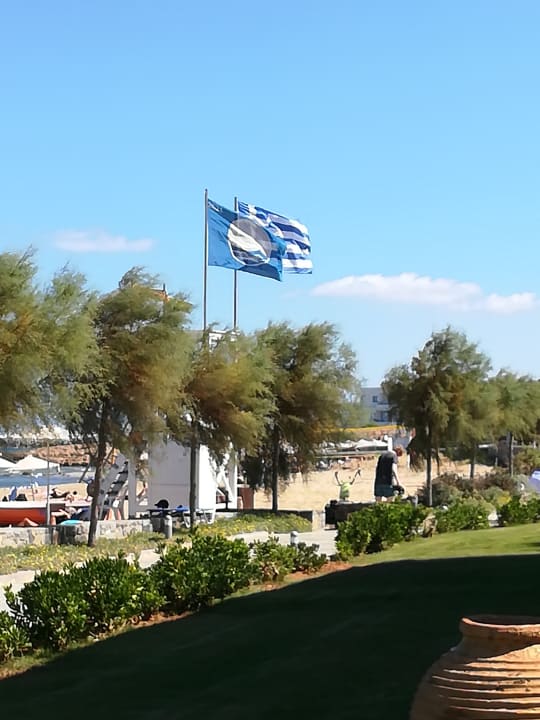 Ausblick Calimera Sirens Beach