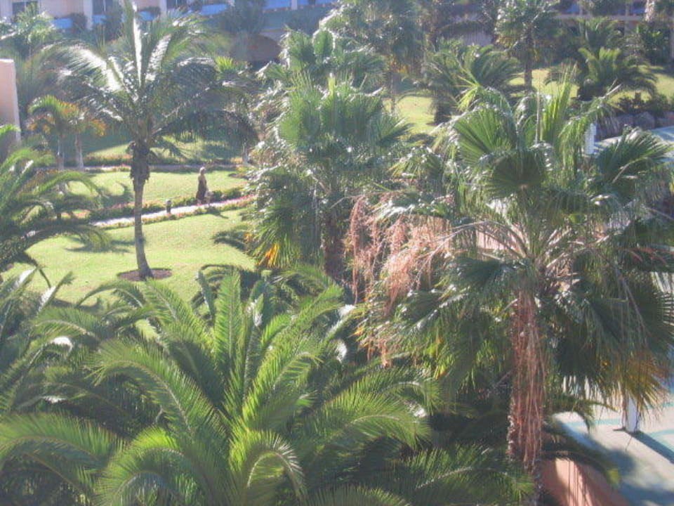 Sauberer Garten Club Hotel Drago Park