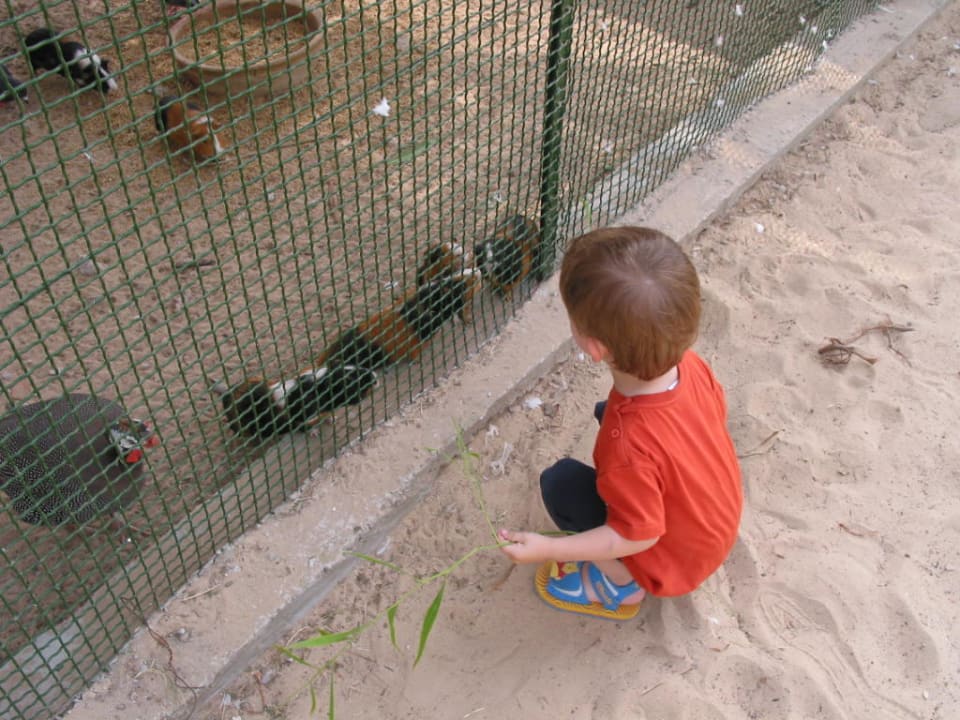 Minizoo Hotel Sangho Club Zarzis