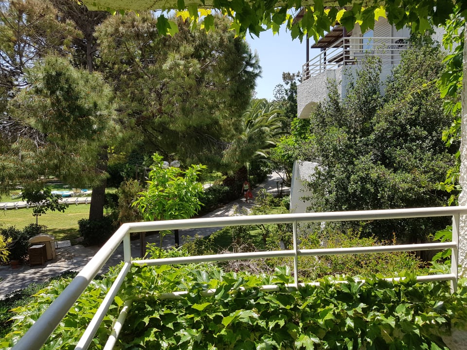Gartenanlage Apollonia Beach Resort & Spa