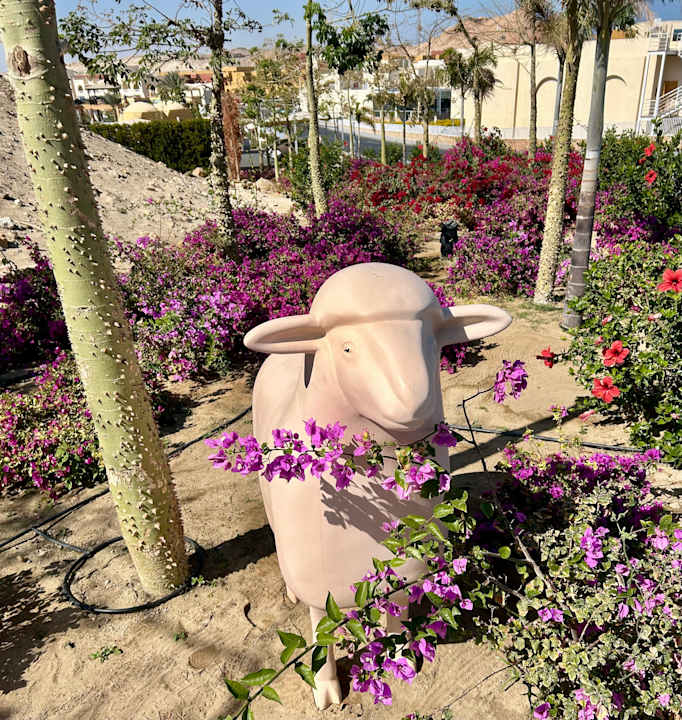 Ausblick Pickalbatros Villaggio Resort - Portofino