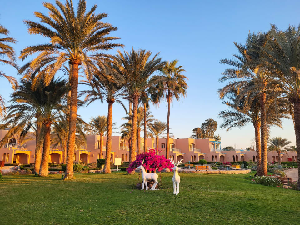 Außenansicht Club Paradisio El Gouna, Red Sea