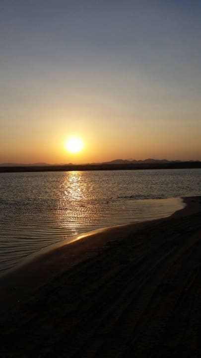 Malikia  Malikia Resort Abu Dabbab