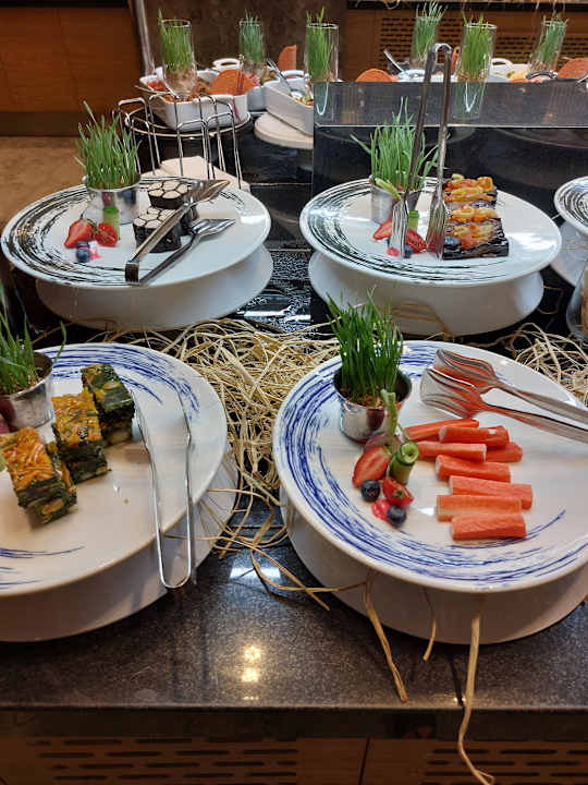 Gastro Seashell Vega